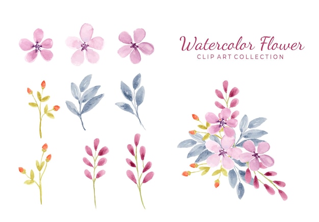 Isolated various watercolor flower clipart collection