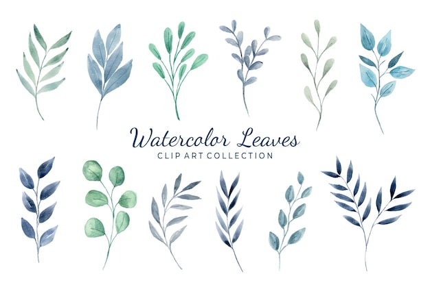 Isolated various watercolor leaves clipart collection