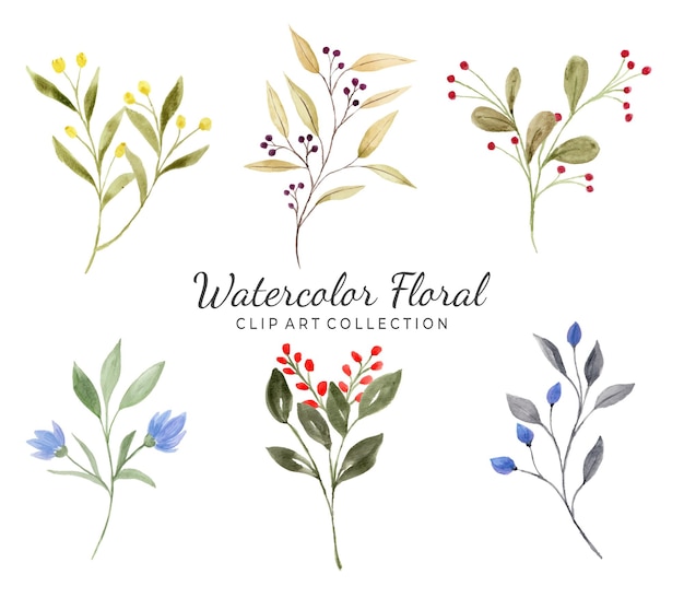 Isolated various watercolor leaves clipart collection