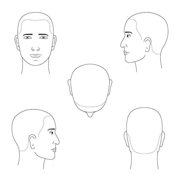 다른 투영에서 격리된 벡터 흑백 남성 머리 얼굴 및 모발 성장 라인