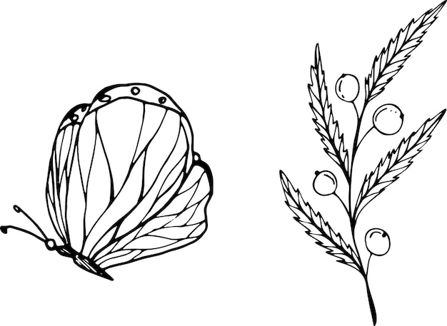 分離ベクトル要素の蝶とロゴ デザインのスケッチ スタイル要素で果実と枝