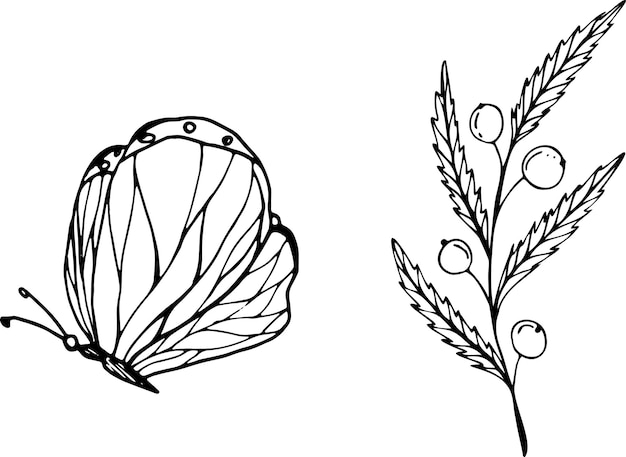 고립 된 벡터 요소 나비와 로고 디자인에 대 한 스케치 스타일 요소에 열매와 분기