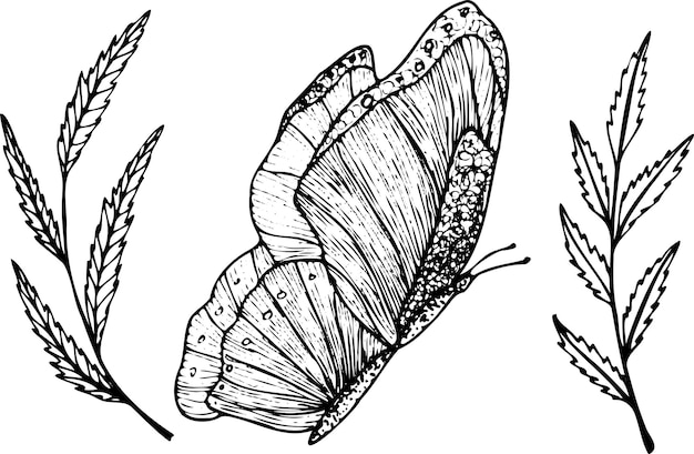 고립 된 벡터 요소 나비와 로고 디자인에 대 한 스케치 스타일 요소에 열매와 분기