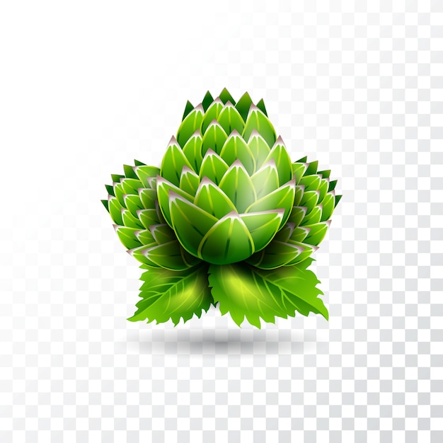 Isolated vector hop illustration on transparent background.