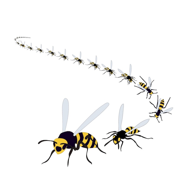 Isolated wasp bees fly on a white background