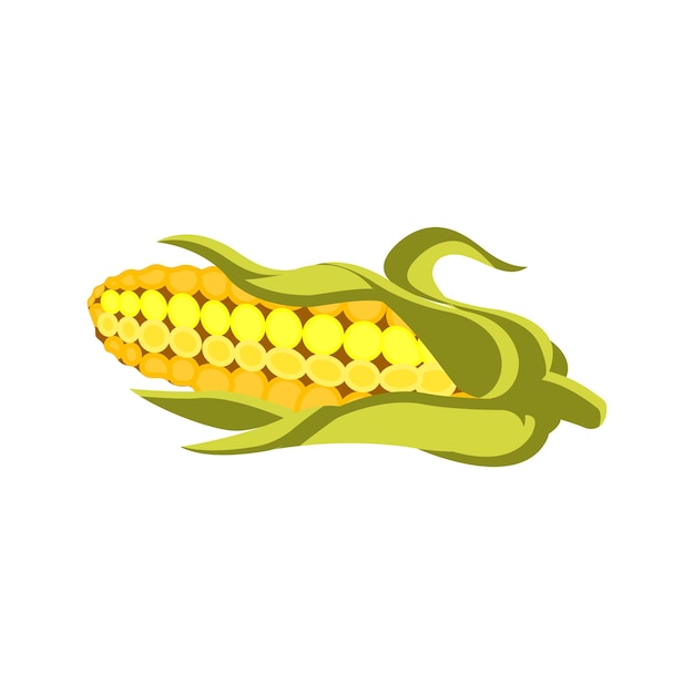 Isolated on a white background vector flat illustration of corn