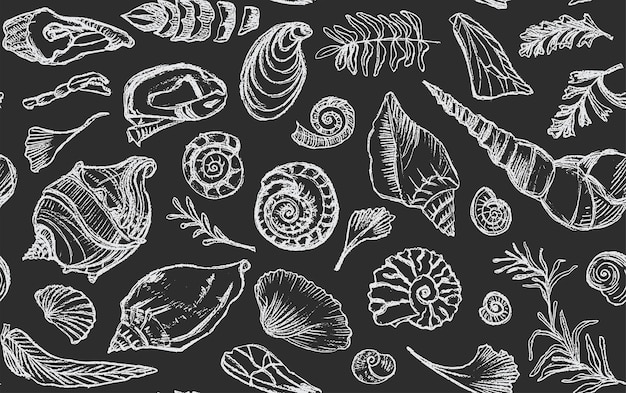 Isolated white chalk contour seashells and plants seamless
pattern hand drawn ocean shell or conch mollusk scallop sea
underwater animal fossil nautical and aquarium marine theme vector
illustration