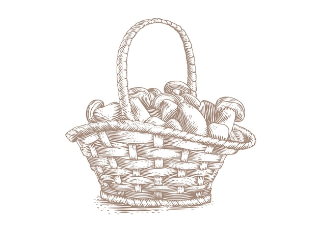 Vector isolated wicker basket with forest mushrooms