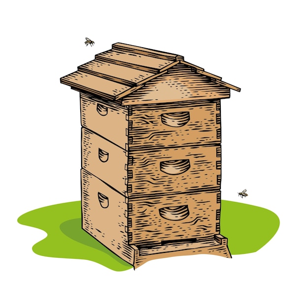 Isolated wooden bee hive and two bees