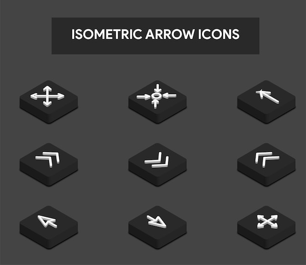 Vector isometric 3d icons set