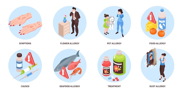 Isometric allergy round compositions set with characters of suffering people allergen products and medical treatment icons vector illustration