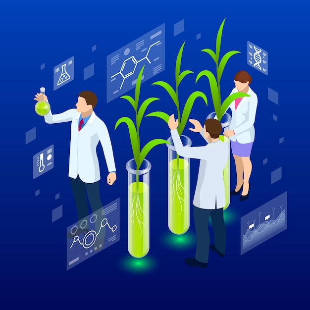 Vettore concetto isometrico di laboratorio che esplora nuovi metodi di allevamento di piante e genetica agricola piante che crescono nelle provette