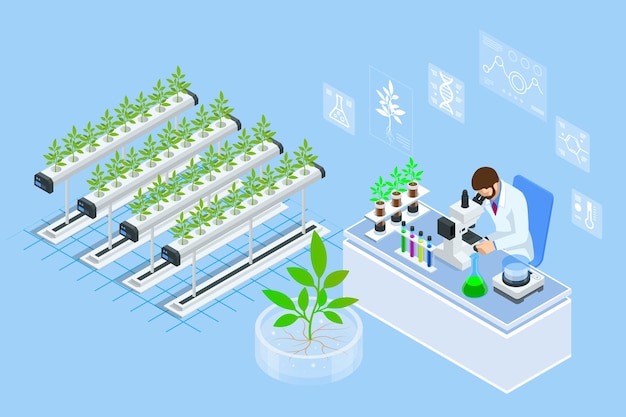 식물 육종 및 농업 유전학의 새로운 방법을 탐구하는 실험실의 아이소메트릭 개념 건강 식품을 위한 유기농 온실에서 야채 수경 시스템 농업