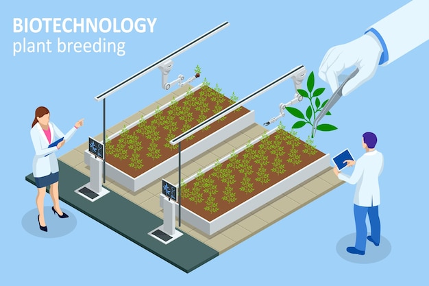 Изометрическая концепция лаборатории, изучающей новые методы селекции растений и сельскохозяйственной генетики. овощная гидропонная система сельского хозяйства в теплице, органическая для здорового питания.