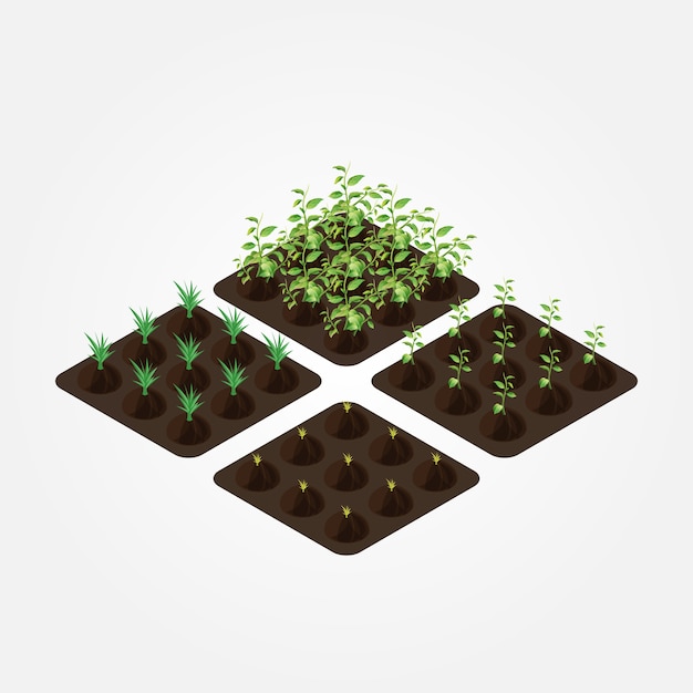 Vector isometric farm elements