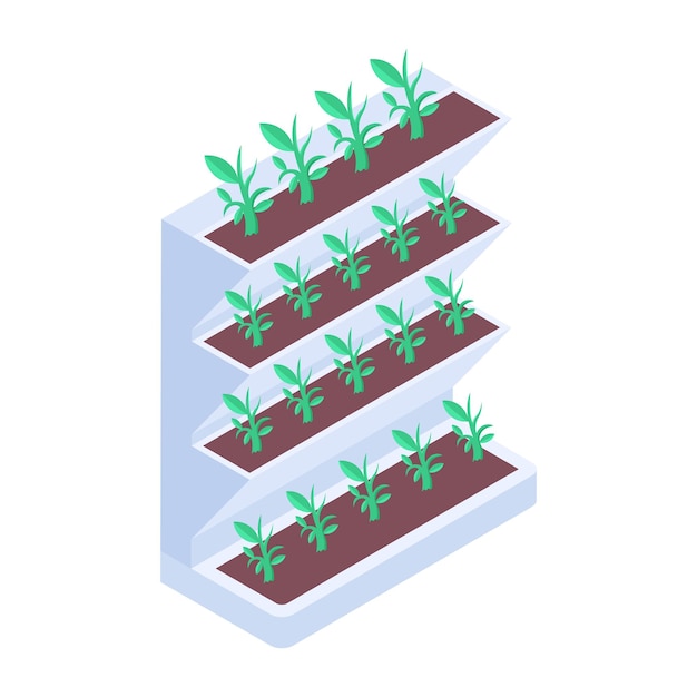 Vector isometric icon showing aeroponic room