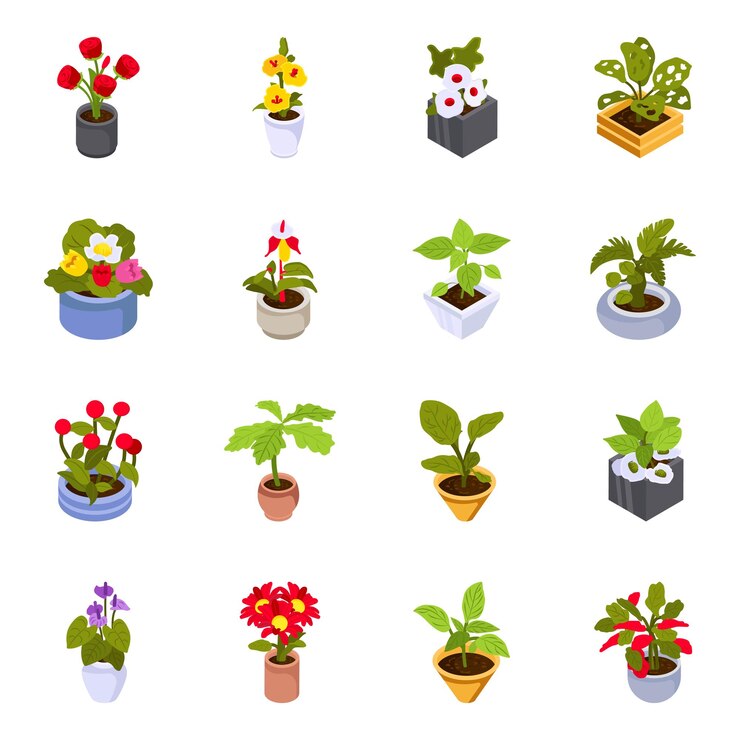 Vector isometric icons of flowers and leafage plants