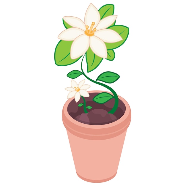 Vector isometric lily flower pot