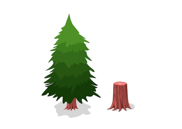 isometric pine tree isolated