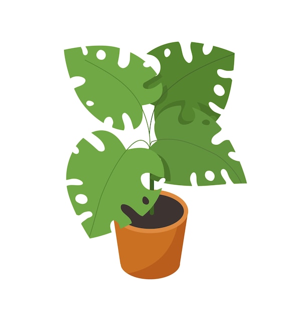 Vector isometric plant in flowerpot concept tropical and exotic leaves flower in pot with soil poster or