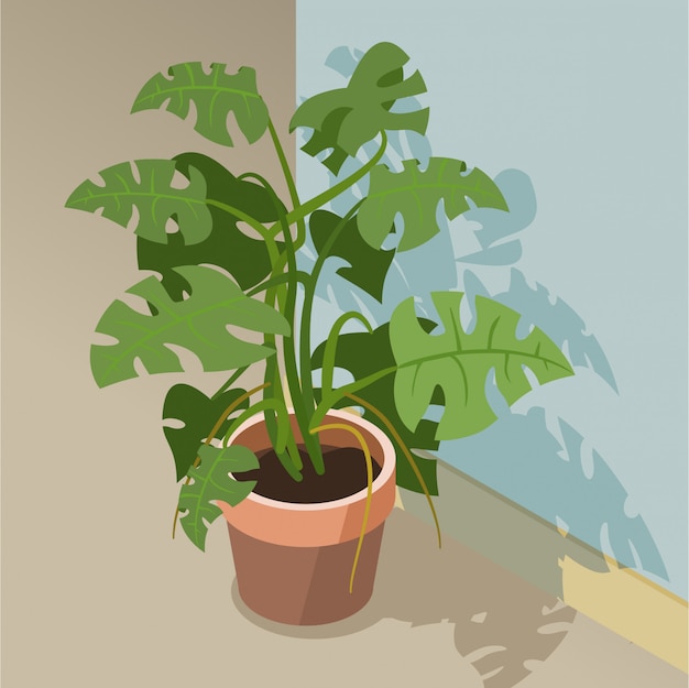 Vector isometric plant philodendron