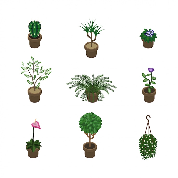 Vector isometric plants