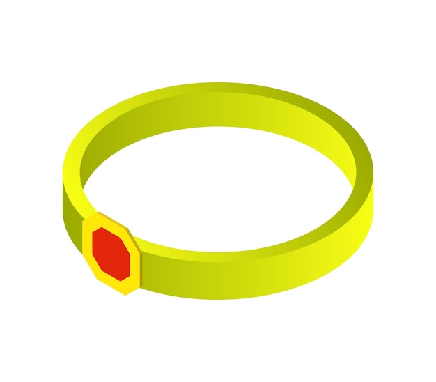 Vector isometric ring