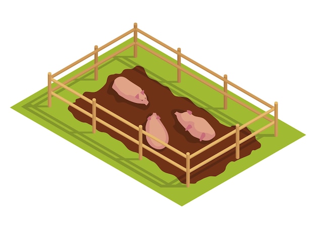 等尺性の田舎の農場。木製の柵の後ろの沼の豚。田舎の要素を表すベクトルアイコン