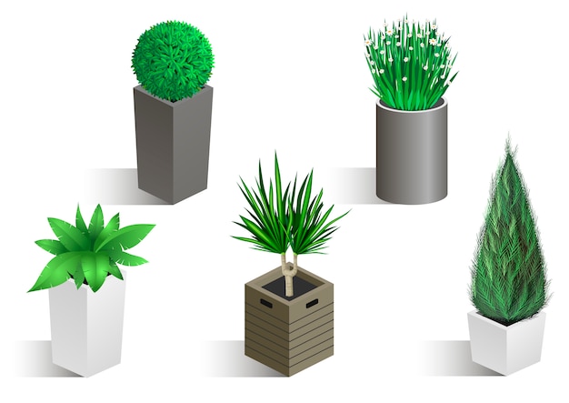 Vector isometric set of different plants