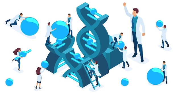 Isometric set of doctors and scientists studying the structure of DNA scientists conduct experiments
