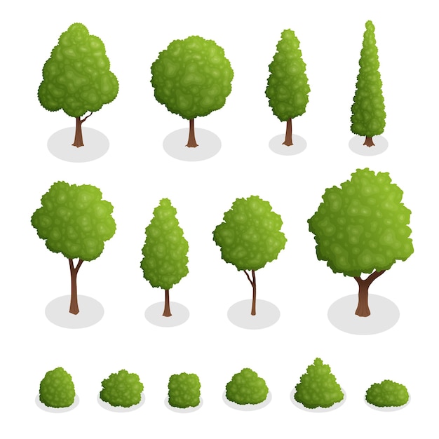 Isometric set of park plants 3d green trees and bushes of various shapes