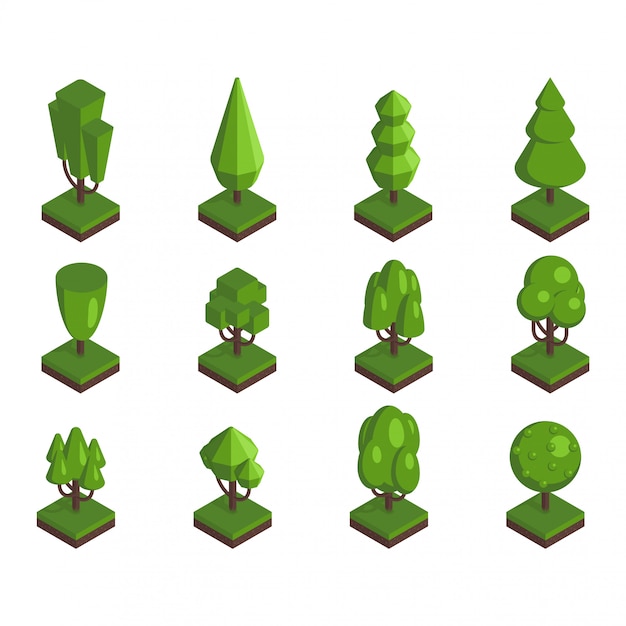 Isometric tree  illustration.