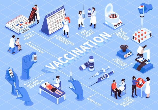 Vector isometric vaccination flowchart