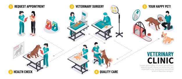 Vector isometric veterinary step by step flowchart template