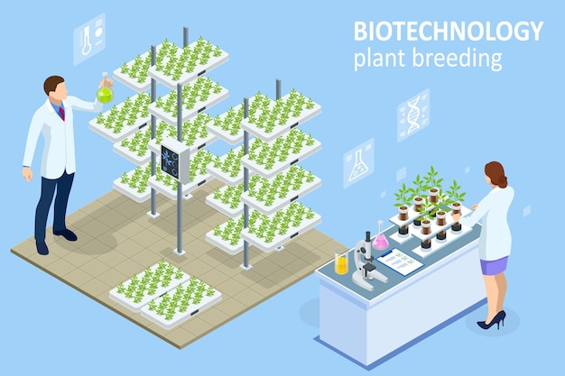 Vector isometrisch concept van laboratorium dat nieuwe methoden voor plantenveredeling en landbouwgenetica onderzoekt plantaardige hydrocultuursysteemlandbouw in de kas biologisch voor gezondheidsvoedsel