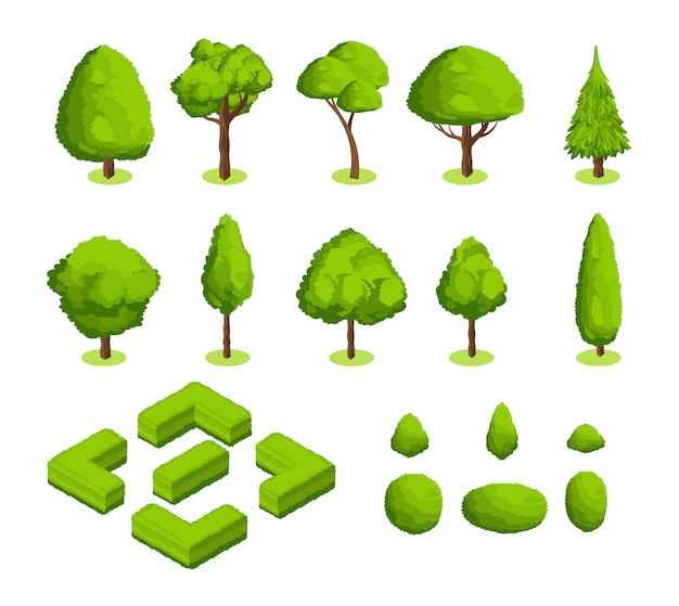 Isometrische 3D-vector park en tuin bomen en struiken. Groene bosplantencollectie