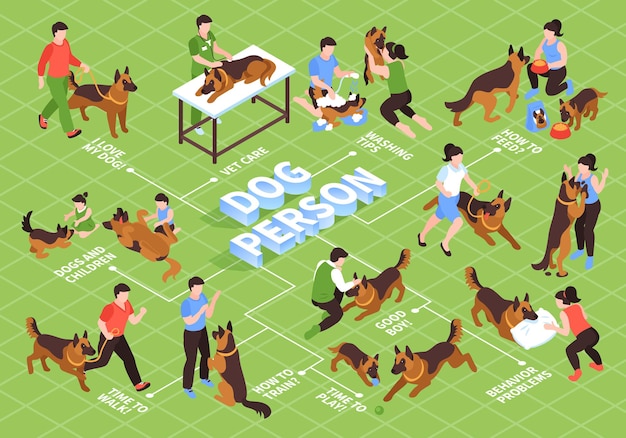 Isometrische eendaagse hondenstroomdiagram met hondenmeesters en trainersillustratie