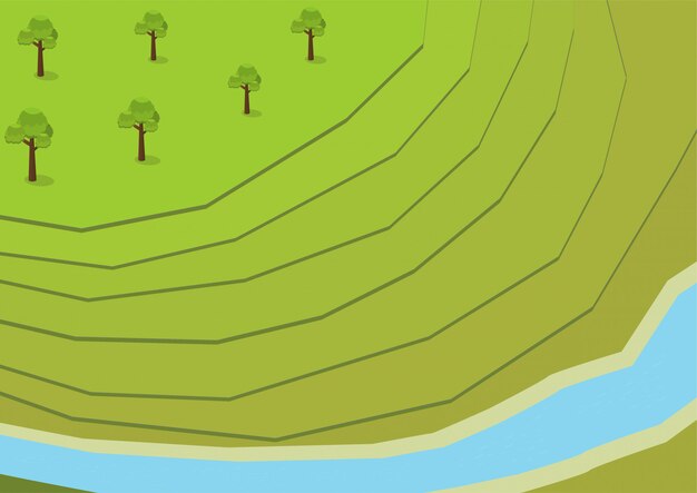 Isometrische groene rijstterrassen antenne