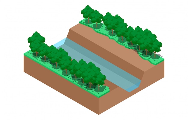 Isometrische illustratie van tropisch boswater