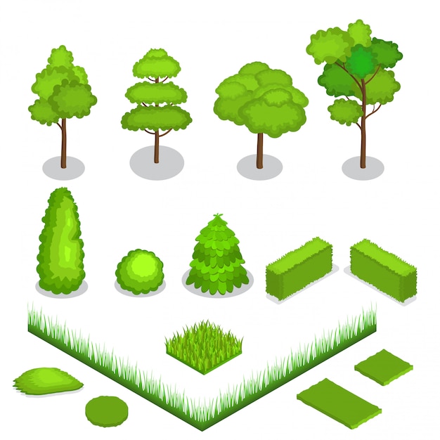 Isometrische vectorbomen 3d illustratie