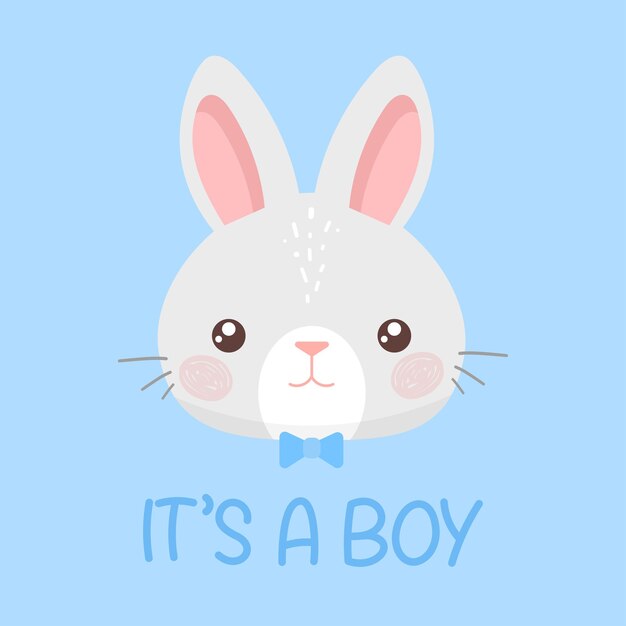 It's a boy Cute baby bunny rabbit Cartoon vector illustration