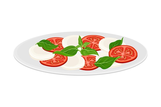 Vettore formaggio mozzarella italiano con pomodori a fette e illustrazione vettoriale della vegetazione