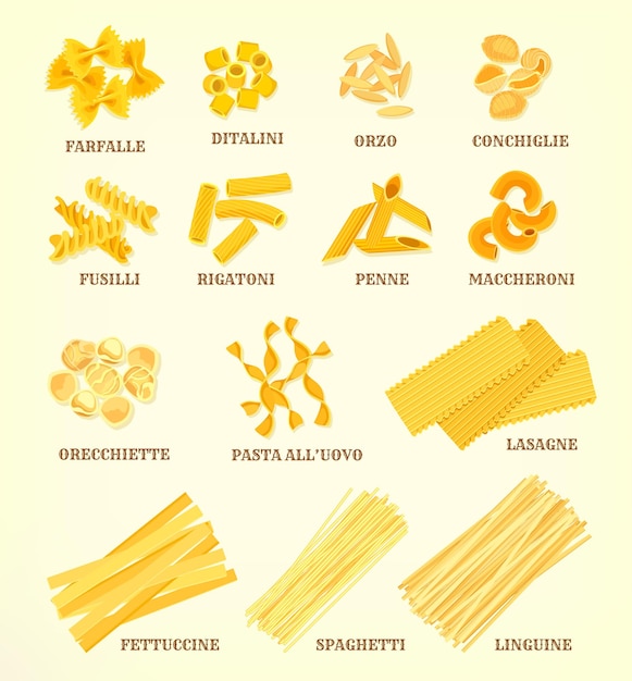 Vettore tipi di pasta italiana o ordina icone vettoriali