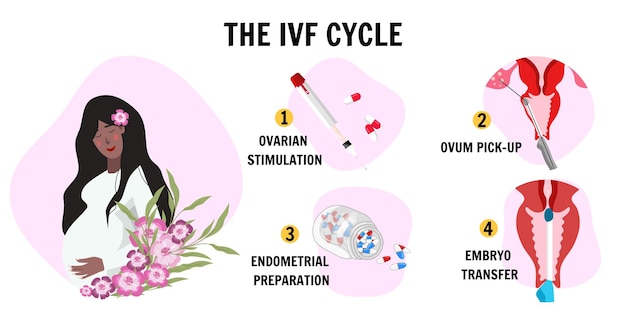 Vector the ivf cycle hand drawn flat design infographic with pregnant woman in vector illustration