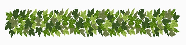 Vector ivy festoon green creeper decorative border