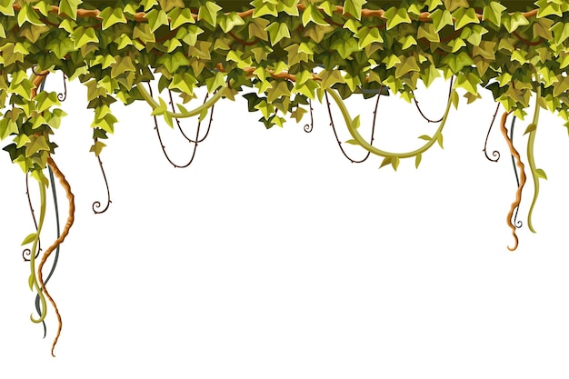 Vector ivy frame liana branches and tropical leaves