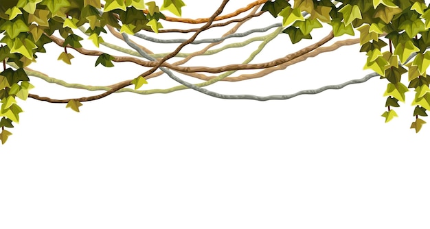 Ivy frame Wreaths liana branches and tropical leaves