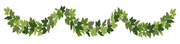 Vector ivy slinger groene klimplant decoratieve rand