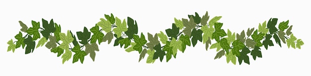 Ivy slinger groene klimplant decoratieve rand