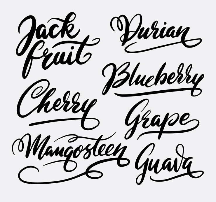 Vector jack fruit and guava calligraphy handwriting